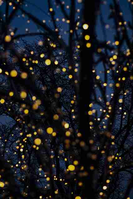 暗网禁地入口通道结构深度解析｜新站点动态汇总持续引发讨论