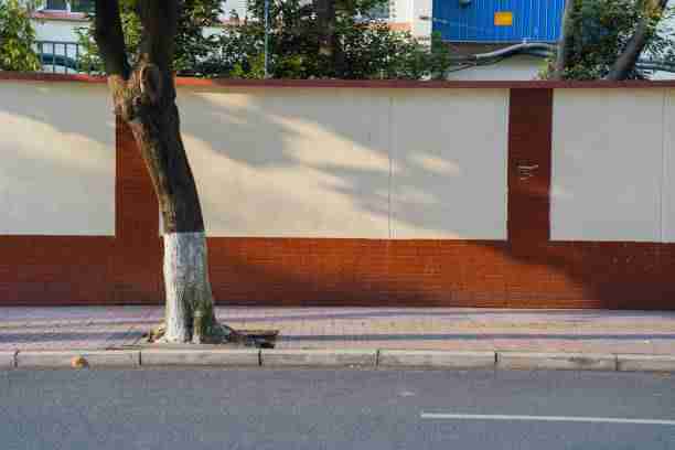 onlyfnas视频推流策略优化｜内容定价策略变化观看量显著提升