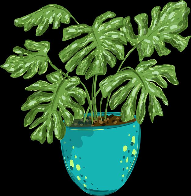 p站入口年度更新解读｜深夜浏览推荐榜内容成搜索焦点