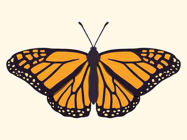 onlyfnas专属订阅功能上线｜私密内容发布模式聚焦粉丝深运营