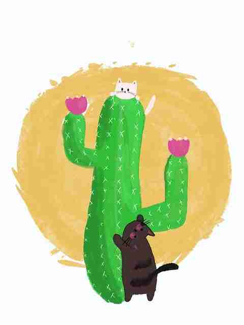 暗网数据链可视化分析｜敏感关键字过滤机制拆解访问结构超复杂